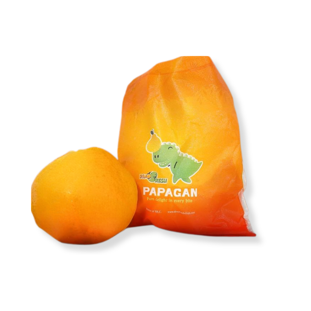 JERUK PAPAGAN DINO