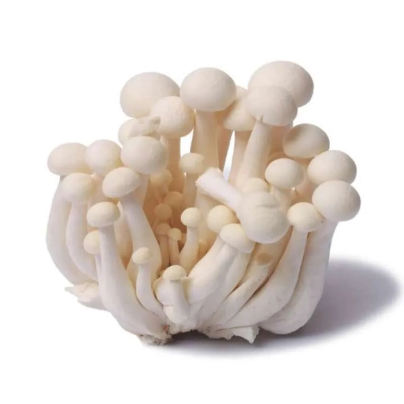 Jamur White Shimeji 150g