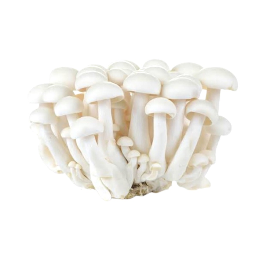 Buna Shimeji White 150g