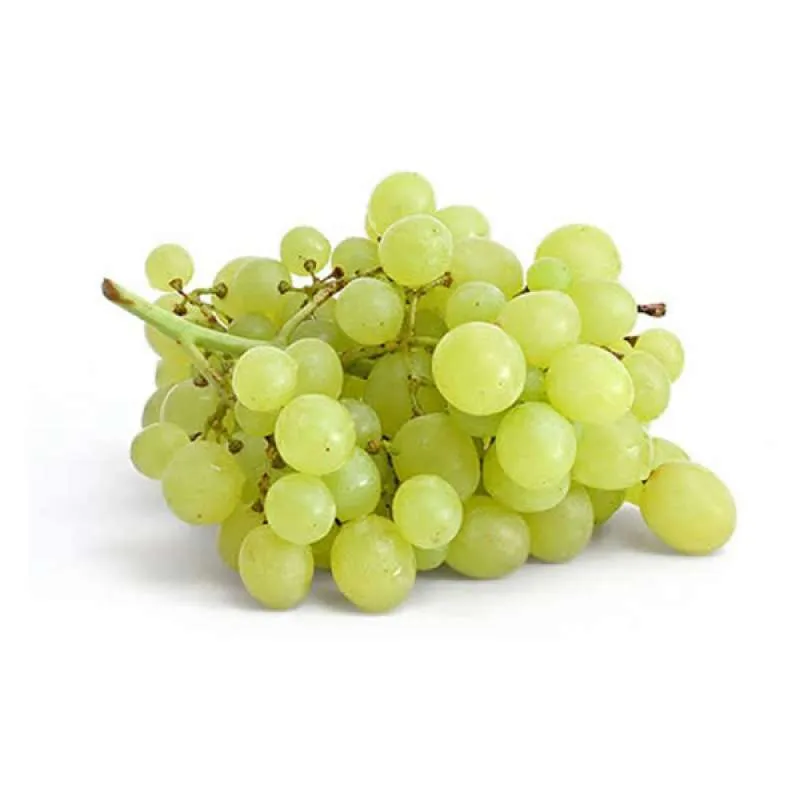 ANGGUR HIJAU