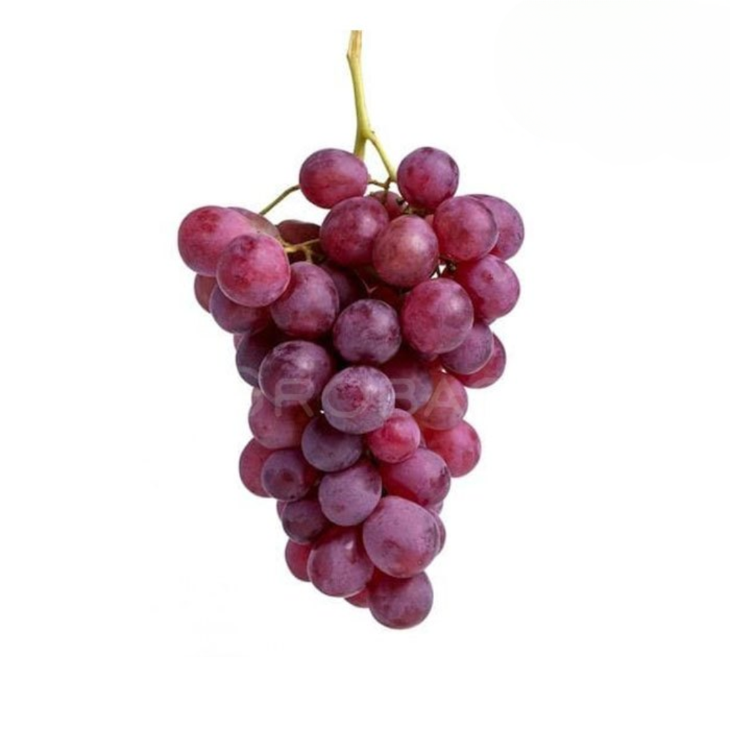 ANGGUR MERAH CHINA