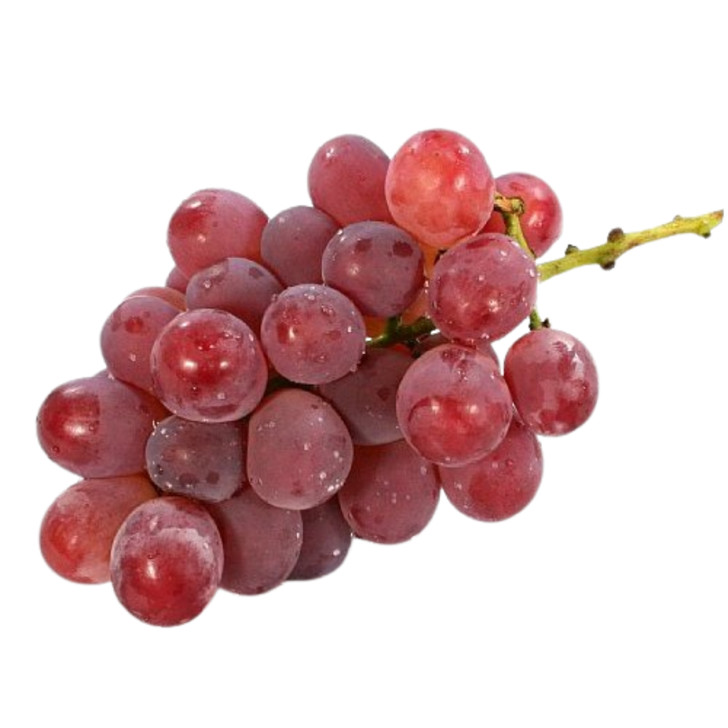 ANGGUR MERAH PERU