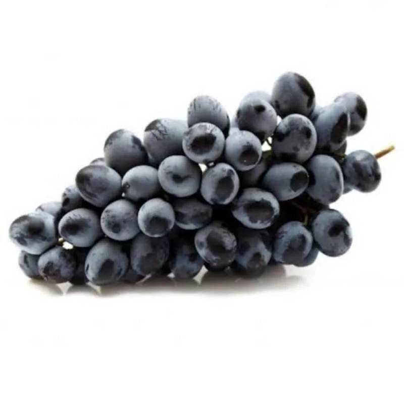 ANGGUR MIDNIGHT BEAUTY