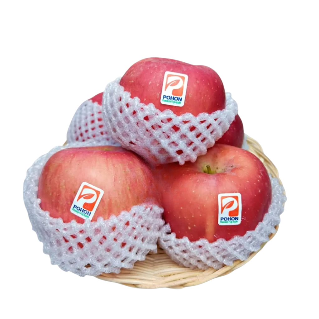 APPLE FUJI POHON