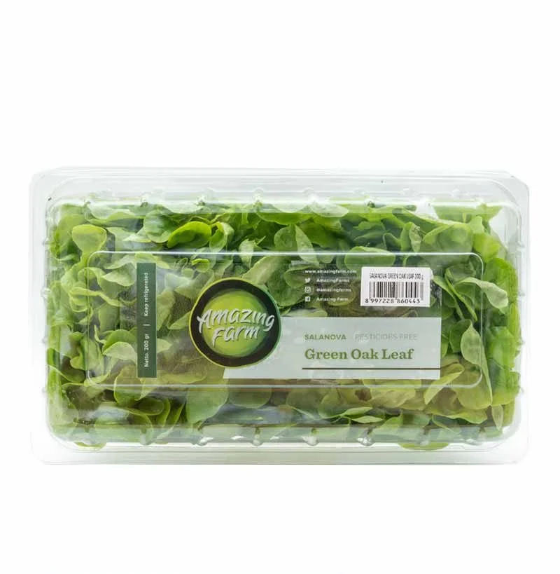 Amazing Farm Green Oakleaf