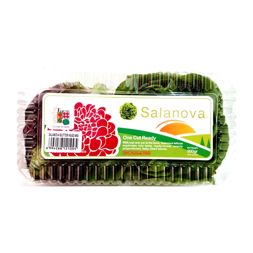 Amazing Farm mix butter head 