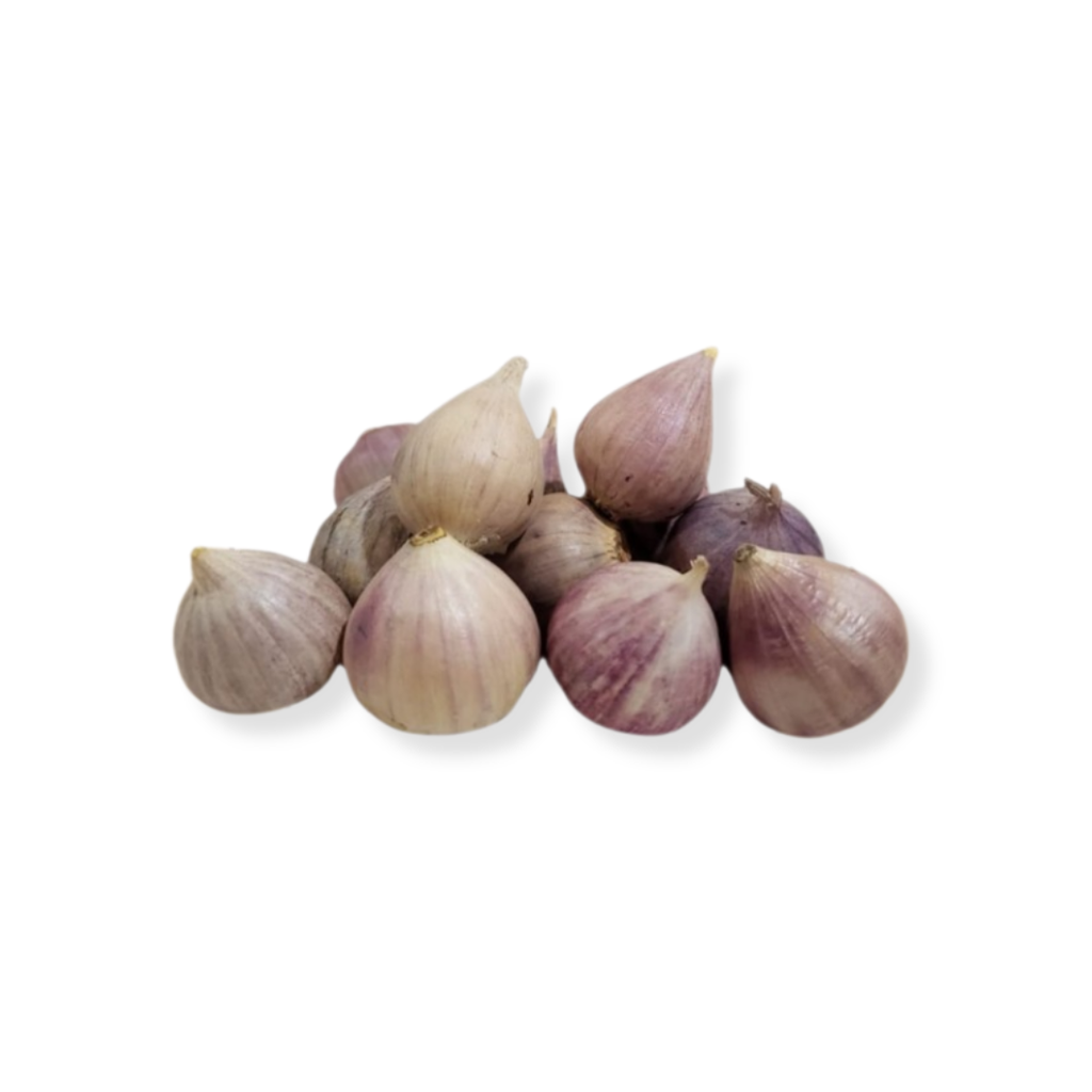 Bawang Tunggal