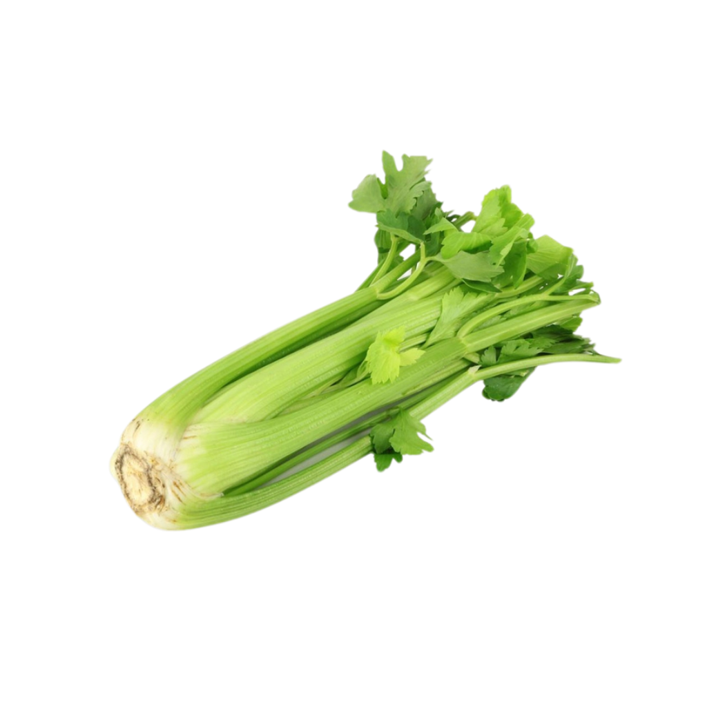 Celery Stick China