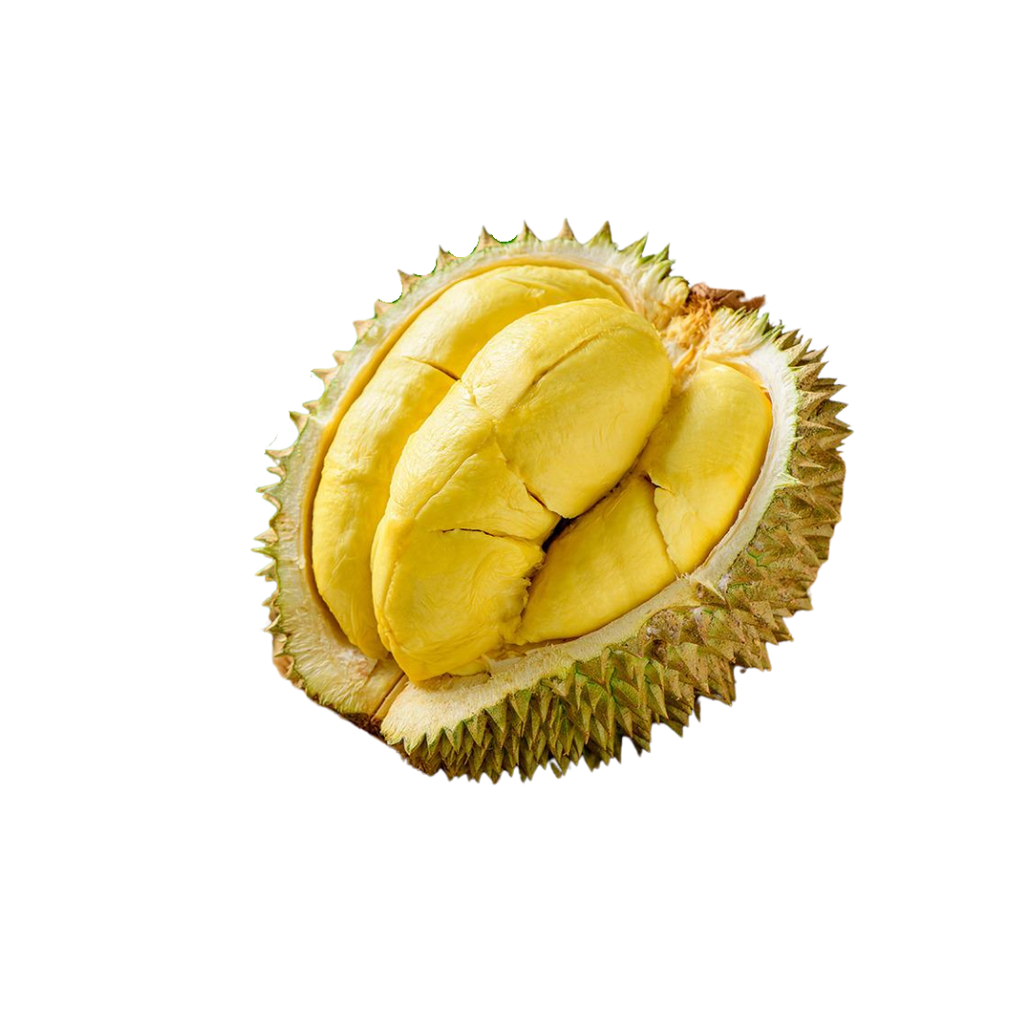 DURIAN PALU