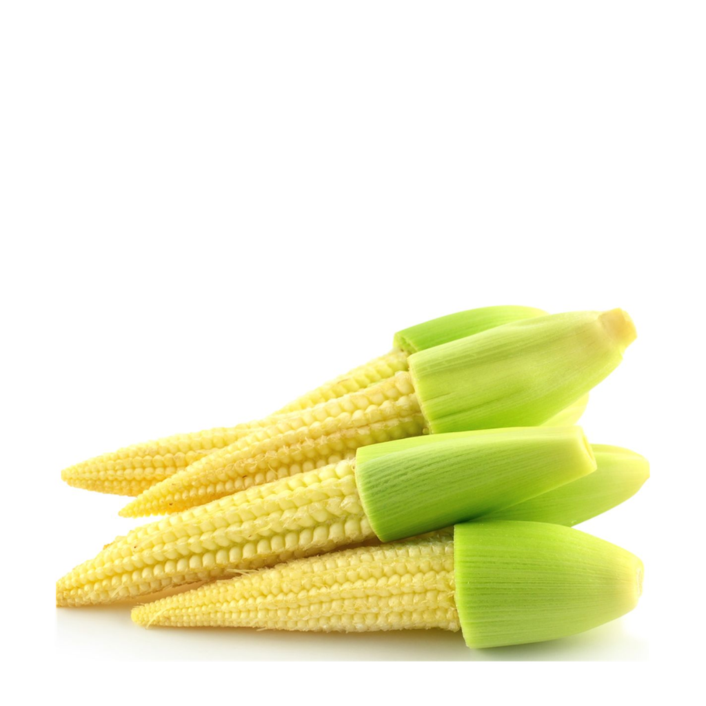 Jagung Muda