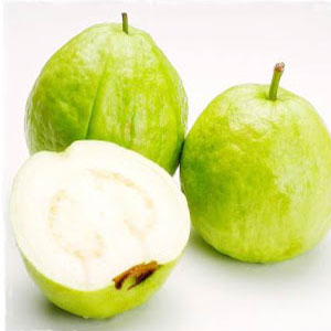 JAMBU BANGKOK