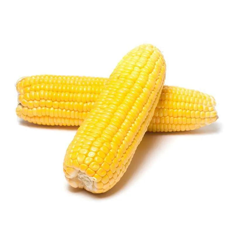 Jagung Satuan