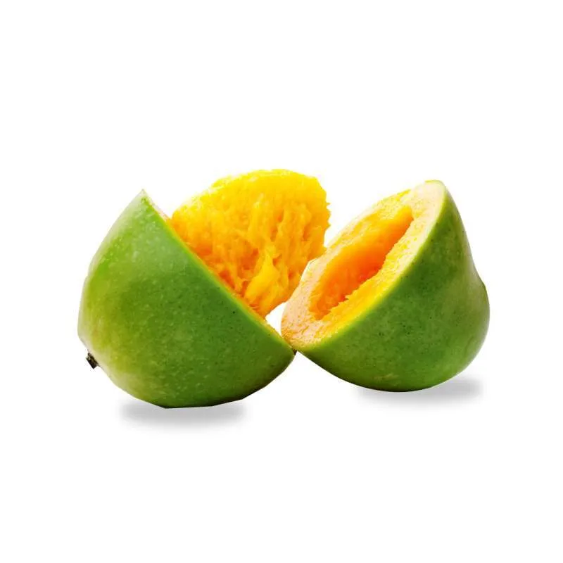 MANGGA ALPUKAT