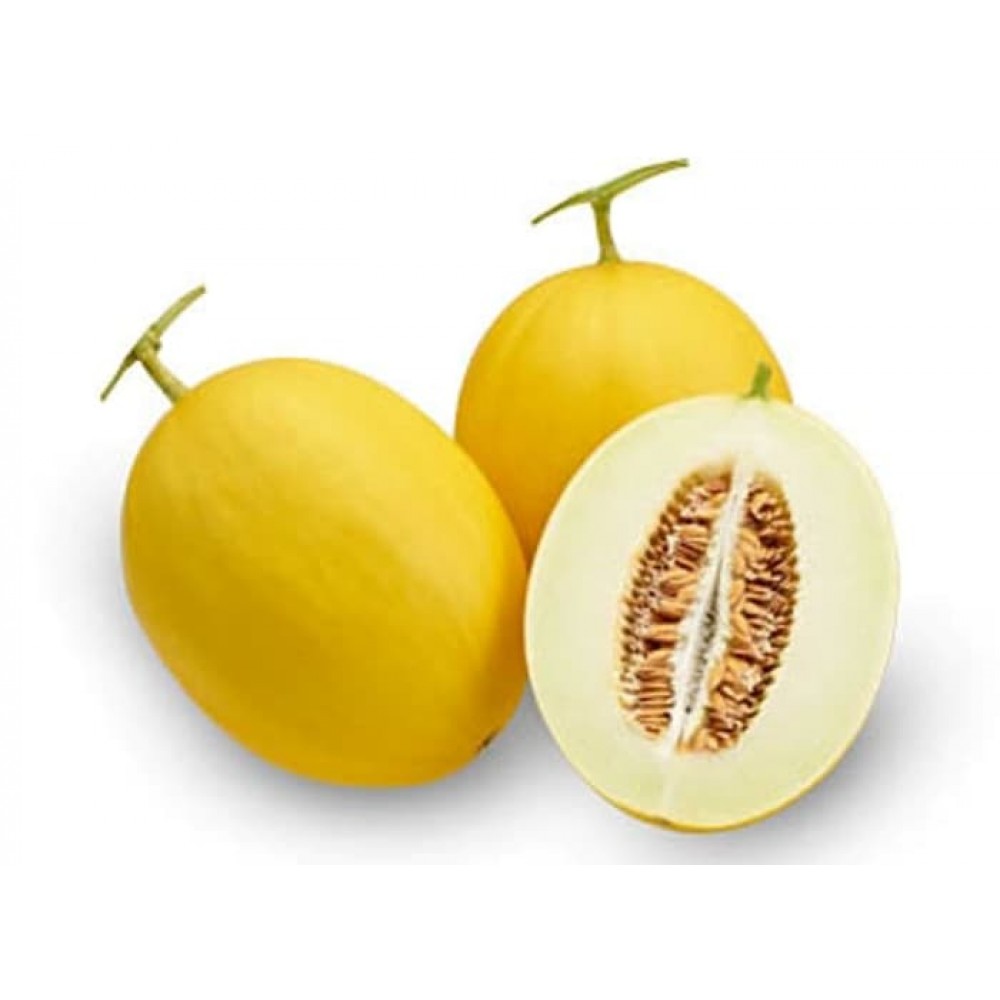 MELON GOLDEN