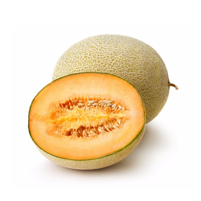 MELON ROCK ORANGE