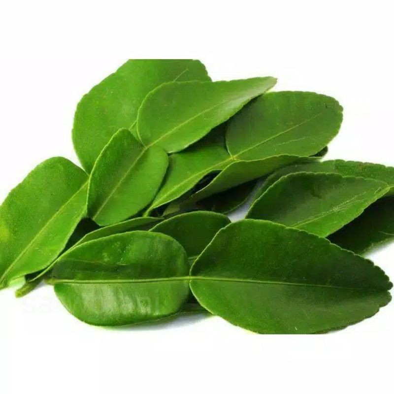 MK daun Orange 20g