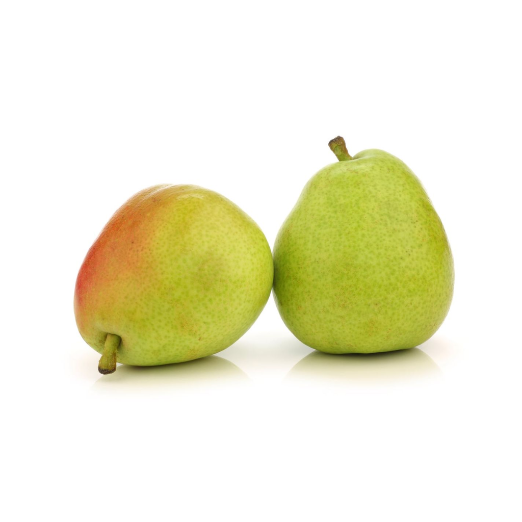 PEAR ANJOU