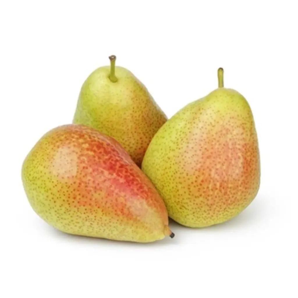 PEAR FORELLE