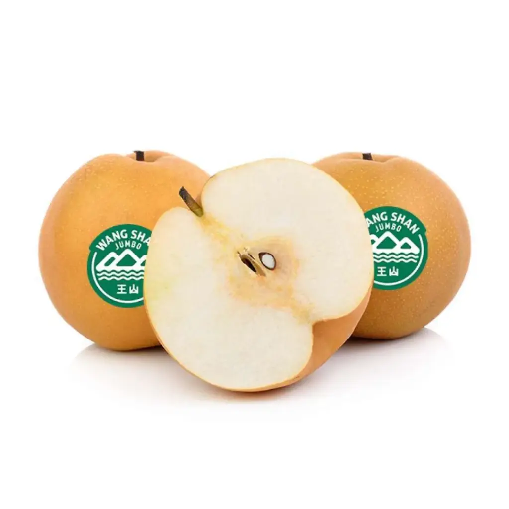 PEAR SINGO