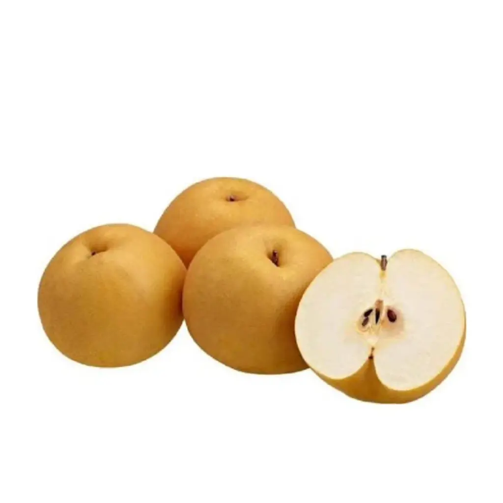 PEAR SINGO KOREA PREM