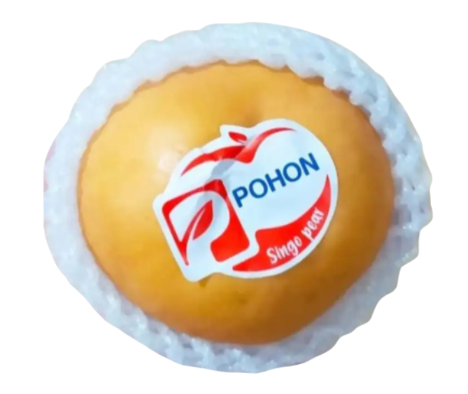 PEAR SINGO POHON