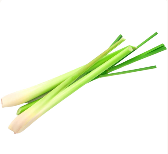 Serai / Sereh Lemongrass