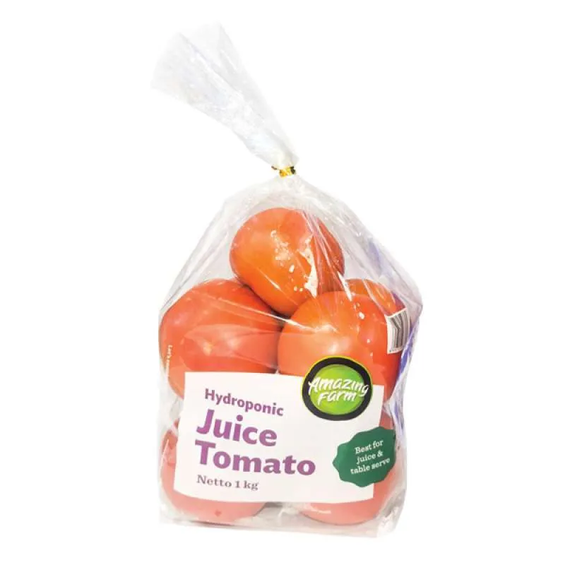 TOMAT HIDROPONIC