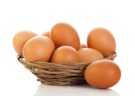 TELUR KG